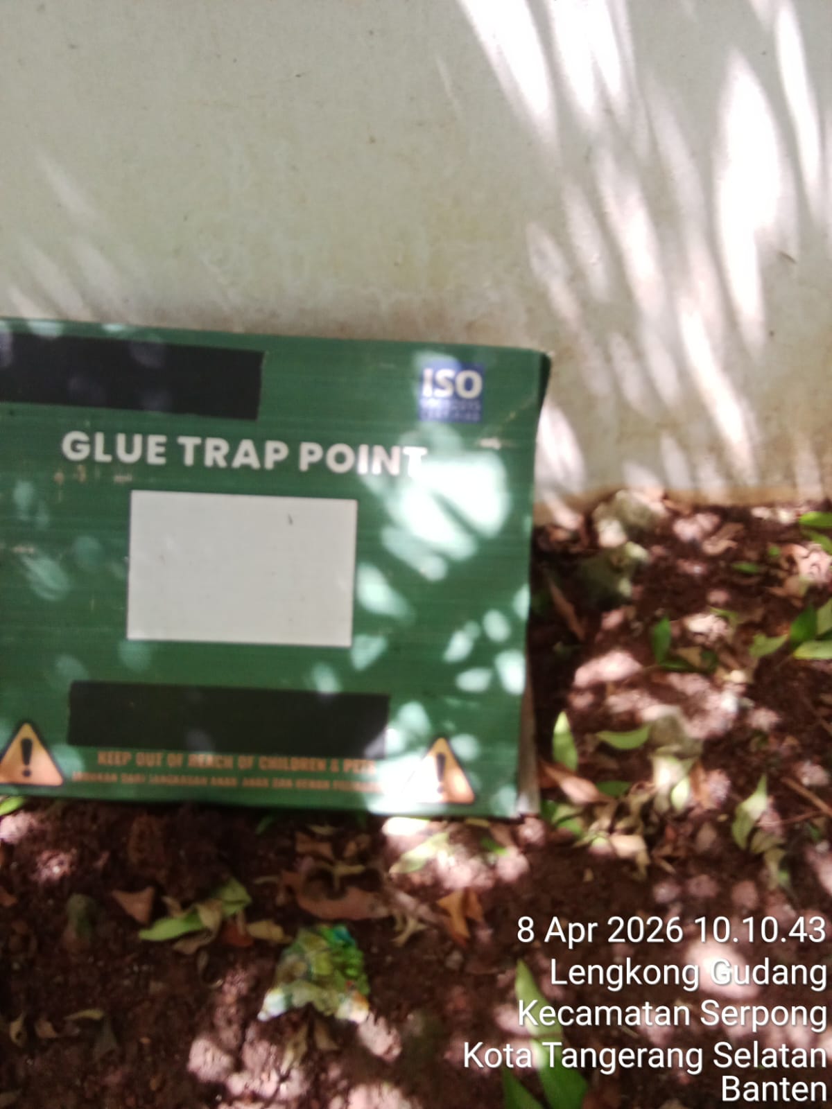 Glue trap hama tikus untuk monitoring area gudang