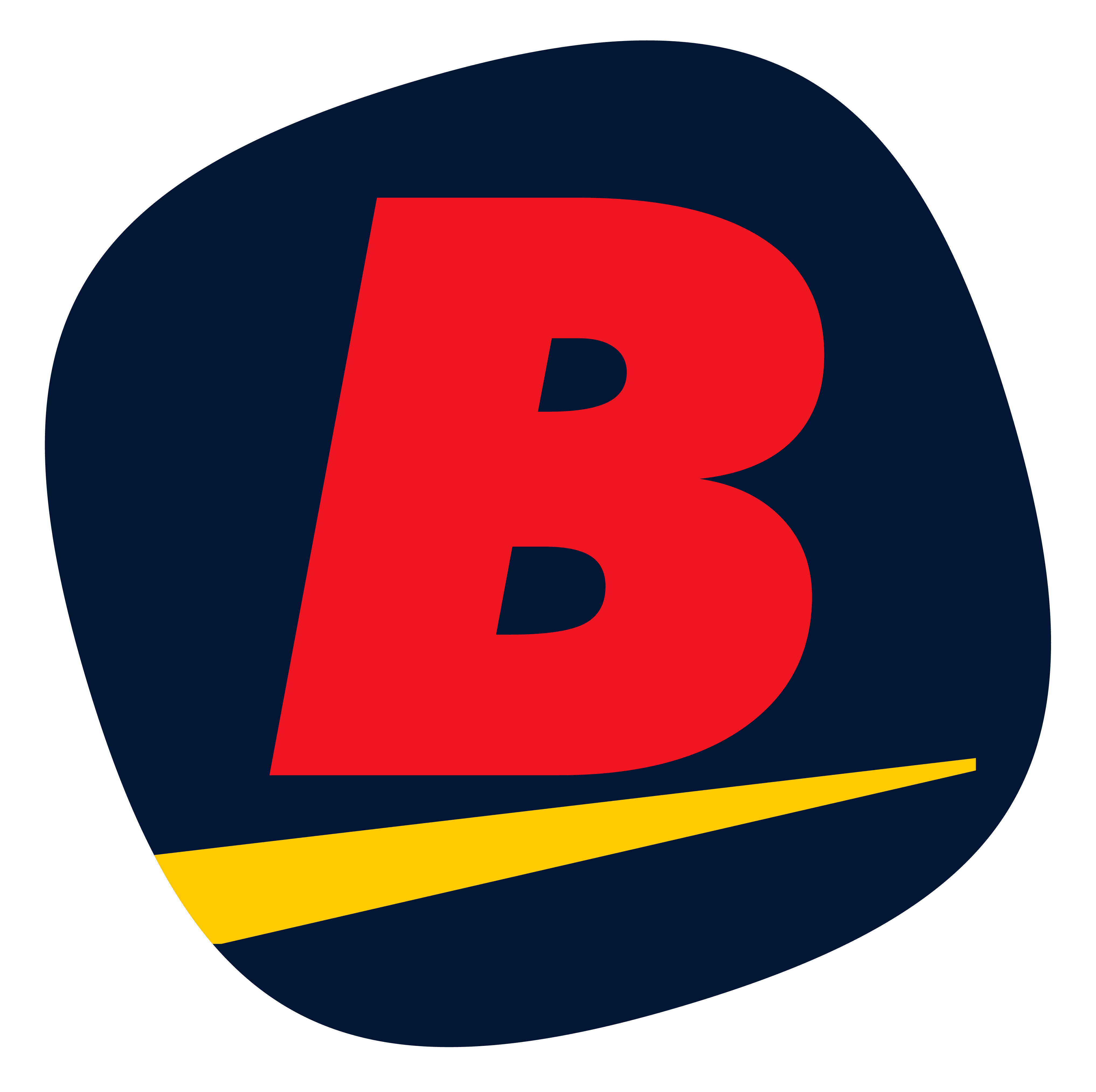 e-Procurement Bhinneka